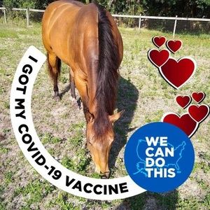 Meet your Posher, Joyce